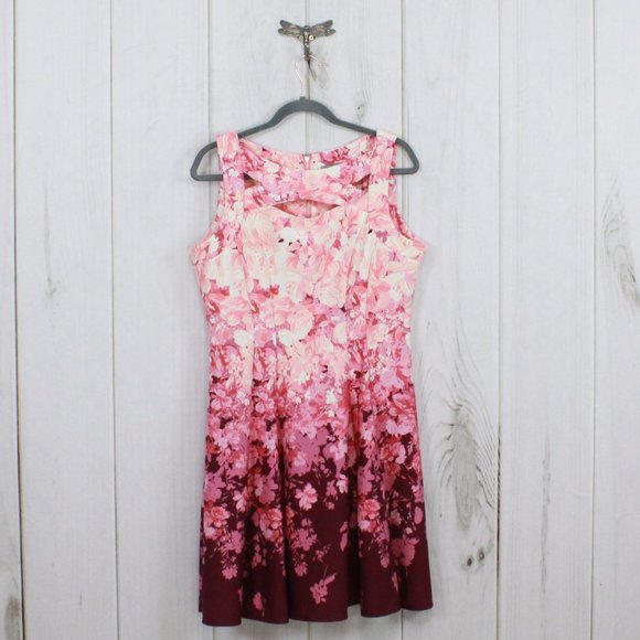 Danny & Nicole Dresses & Skirts - DANNY & NICOLE Fit Flare Pink Floral Dress Size 12